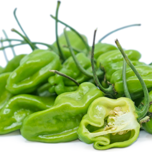 FRESH GREEN PEPPERS