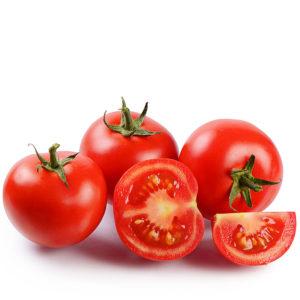 FRESH TOMATOES