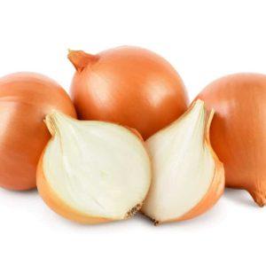 Onion-Holland-300x300