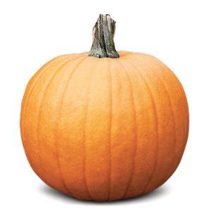 PUMPKIN